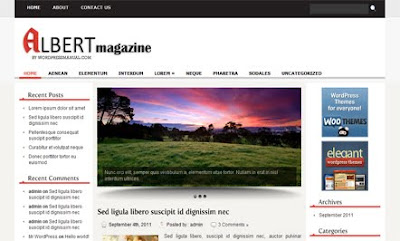 Albert WordPress Theme