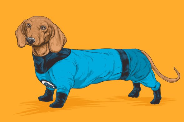 As ilustrações de cachorros como super heróis e vilões da Marvel de Josh Lynch Josh Lynch ilustrações cachorros como personagens super heróis vilões Marvel - Dogs of the Marvel Universe
