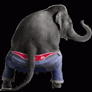Animated Gifs Funny