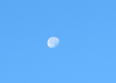 The Moon, November 02, 2012, 7:59:25 AM