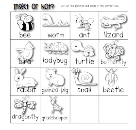 Classroom Fun: Insect or Not? Freebie