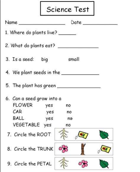 Worksheets Science Worksheets First Grade science worksheets first grade plants delwfg com autism tank unit grade