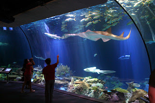 sea world ancol