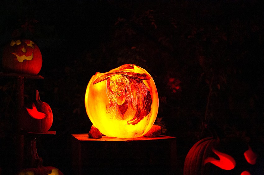 roger williams zoo asian lanterns