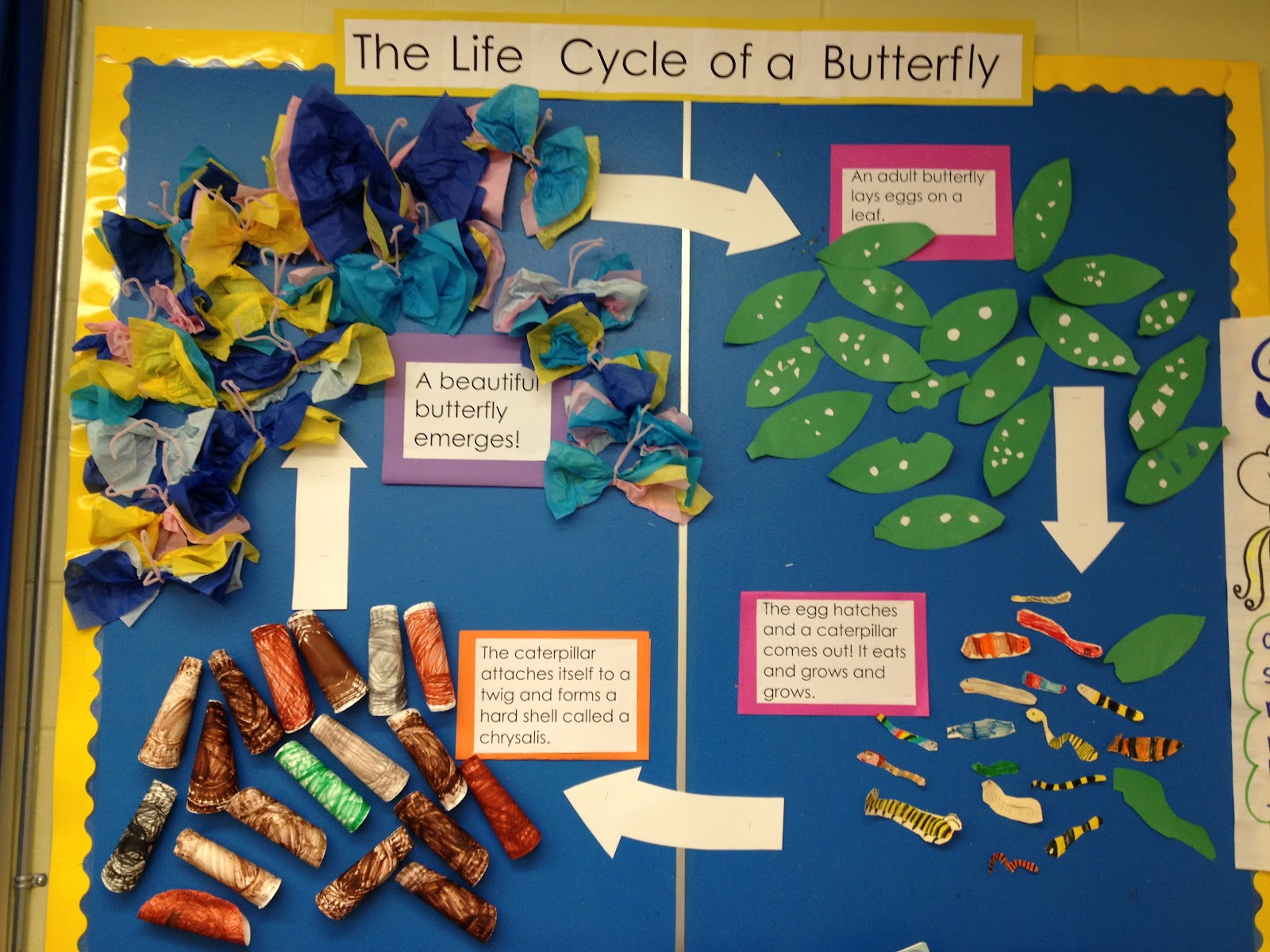 Life In Grade One! Living Things and Mothers!