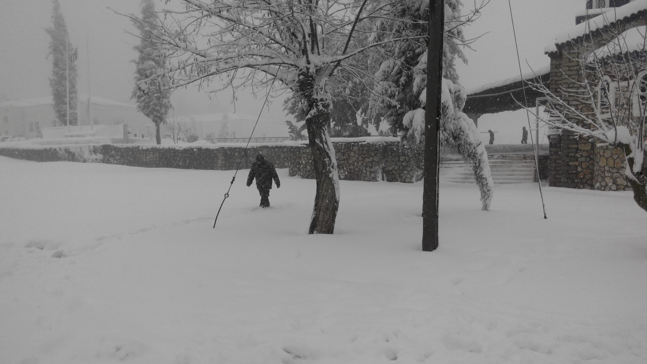 Snow from inside the training camp. Snow from inside the training camp.