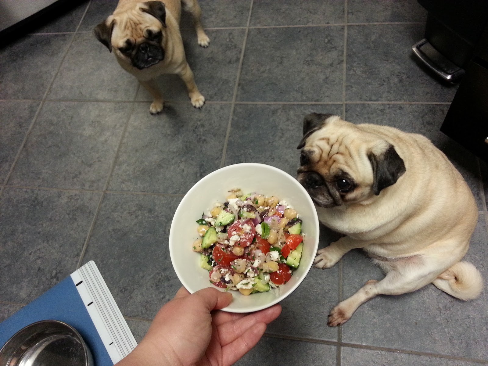 Grubbin' Pugs Chickpea Salad with Herbs and Vegetables
