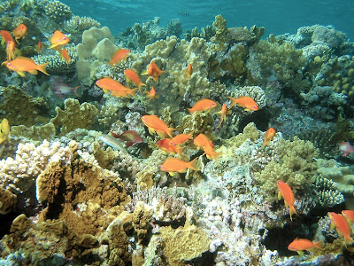 (Philippines) –Travel to Palawan (Philippines) –Travel to Palawan