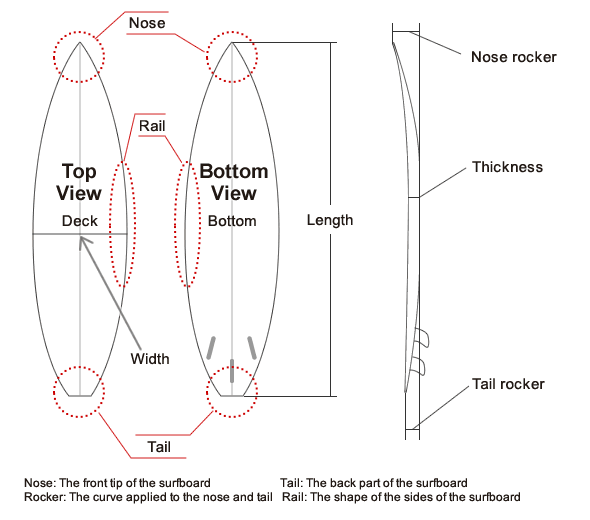 SUP Virginia Beach Tula Sports Anatomy of a Stand Up Paddleboard