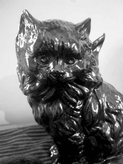 Seeing Black Cat Cutting You Nail In Dream Seeing Black Cat Cutting You Nail In Dream