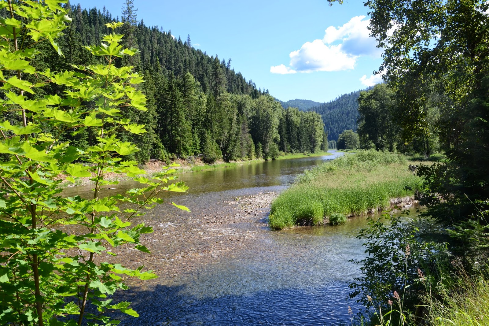 kellogg bloggin' North Fork of the Coeur d'Alene River 07/07/14