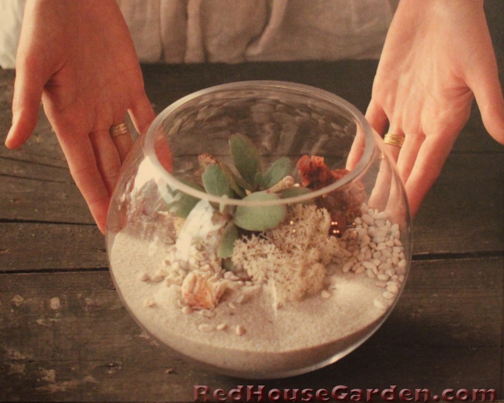 Red House Garden Two Terrarium Books