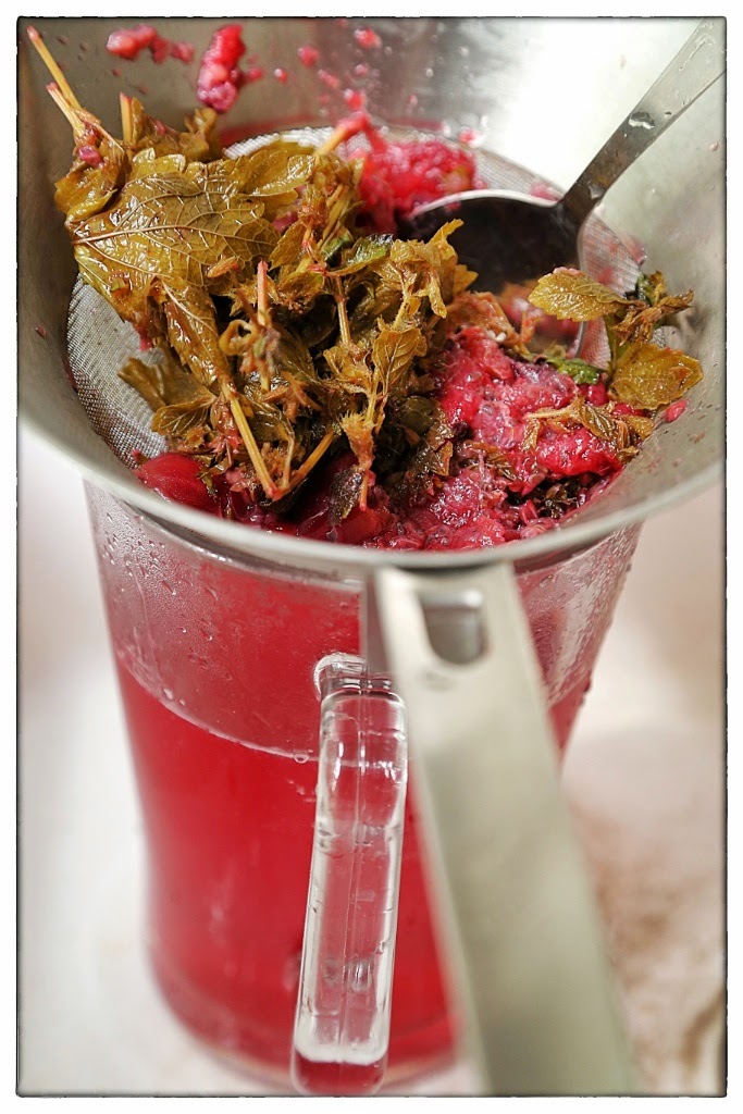 Straining the red gooseberry and lemon balm cordial