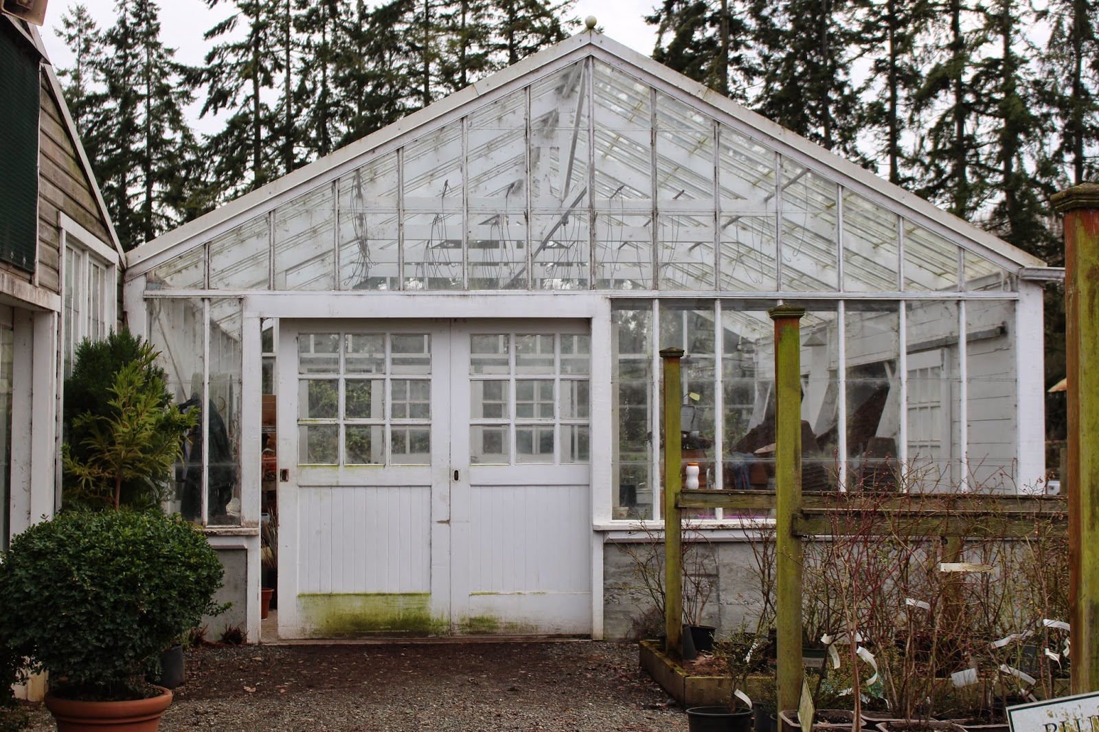 Rooted In Thyme Christianson's Nursery in Mt. Vernon, Washington and Simple & Sweet Fridays 157