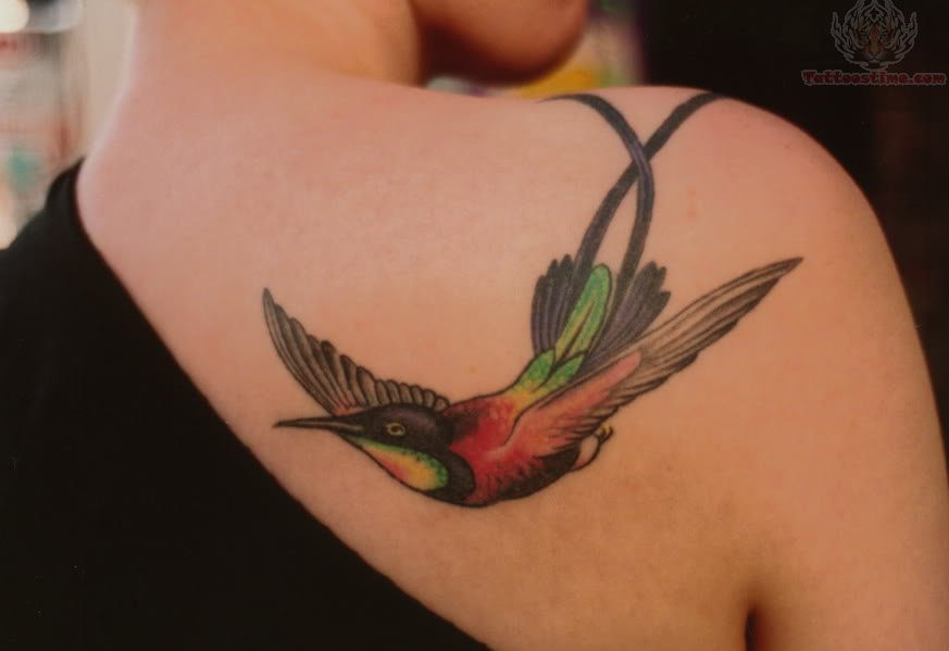 Hummingbird Tattoo On Shoulder | tattoos of humming bird hummingbird tattoo on shoulder Hummingbird Tattoo On Shoulder | tattoos of humming bird hummingbird tattoo on shoulder