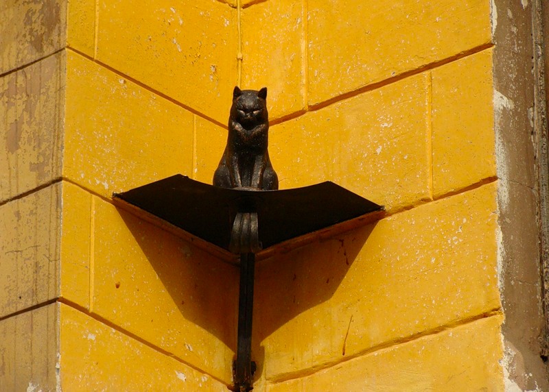Памятник коту Елисею