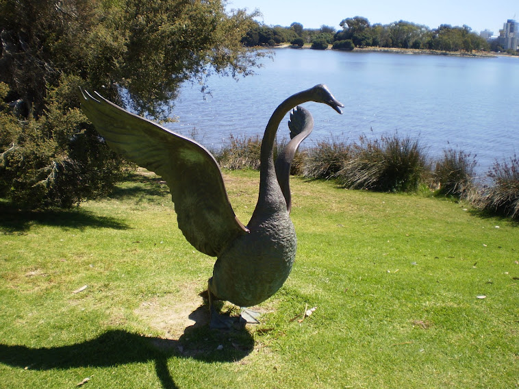 Swan by Joan Walsh-Smith and Charles Smith