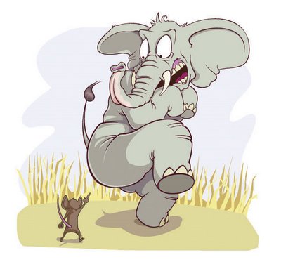 هل يخاف الفيل من الفأر فعلا؟؟ Elephant+n+Mouse