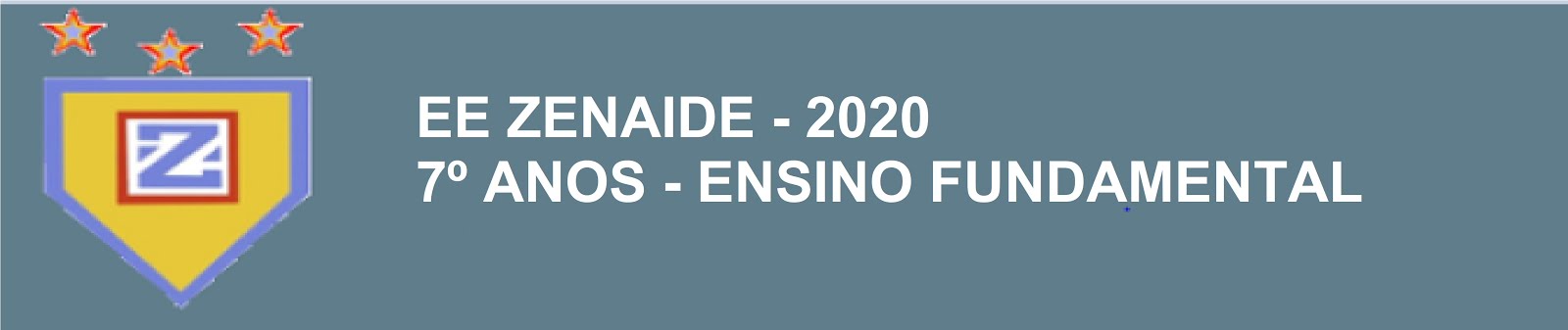 EE ZENAIDE - 2020 - 7º ANOS - ENSINO FUNDAMENTAL