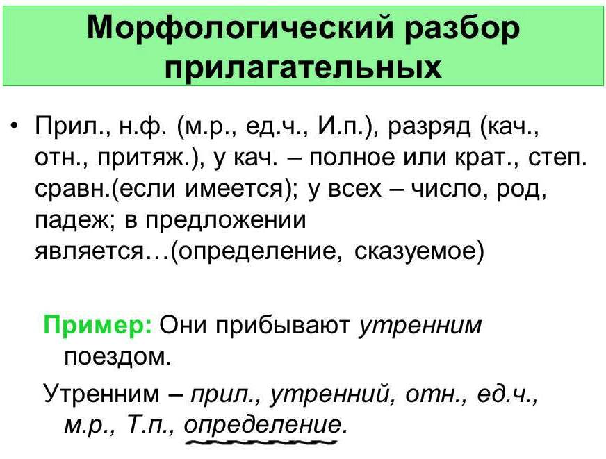 Схема морфологического разбора прилагательного 5 класс Схема морфологического разбора прилагательного 5 класс