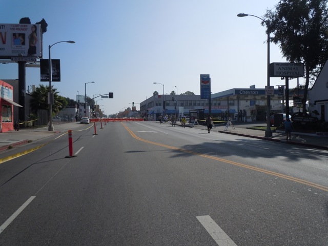 Melrose Avenue AIDS Walk LA 2011