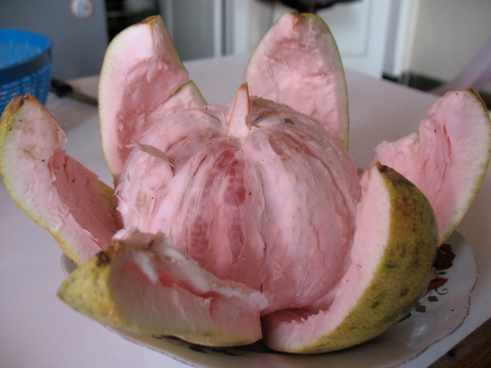 Resep: MANISAN KULIT JERUK BALI | Serbaserbi