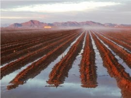 Agricultural Landscapes