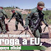 Así traficaban droga los Zetas en Coahuila, testigo protegido narra los crímenes del Z-40 y Z-42