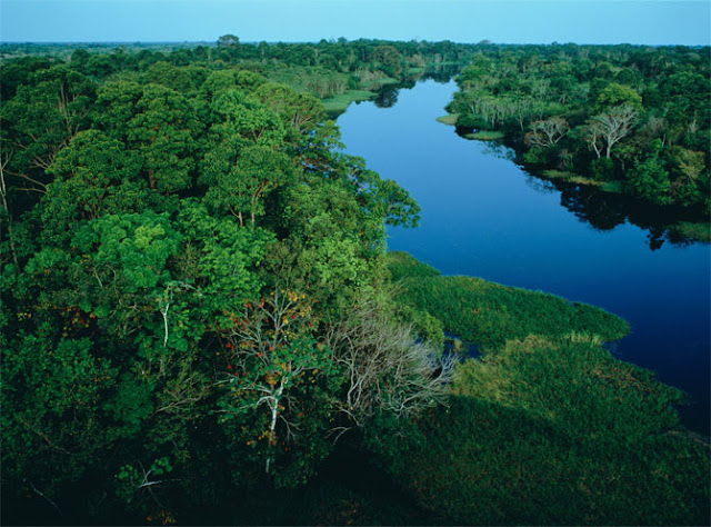 Paisajes de Selvas Tropicales Selva Tropical