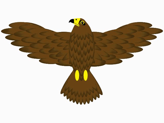 Animation Eagle