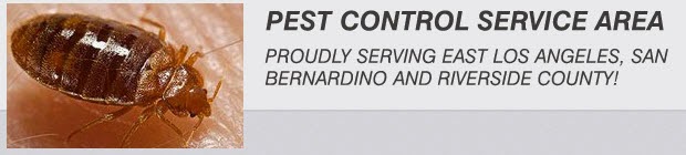 bed bug control