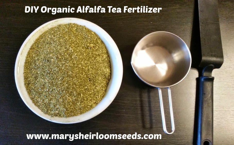 Back to the Basics! Make Your Own Fertilizer Tea