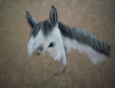 Horse portrait painting in pastel by Equine artist Colette Theriault