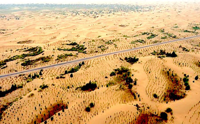 COMBATING DESERTIFICATION