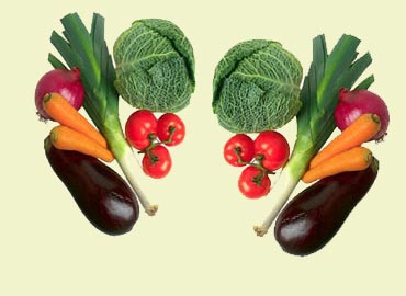 IMPORTANCIA DE LOS VEGETALES importancia de los vegetales: