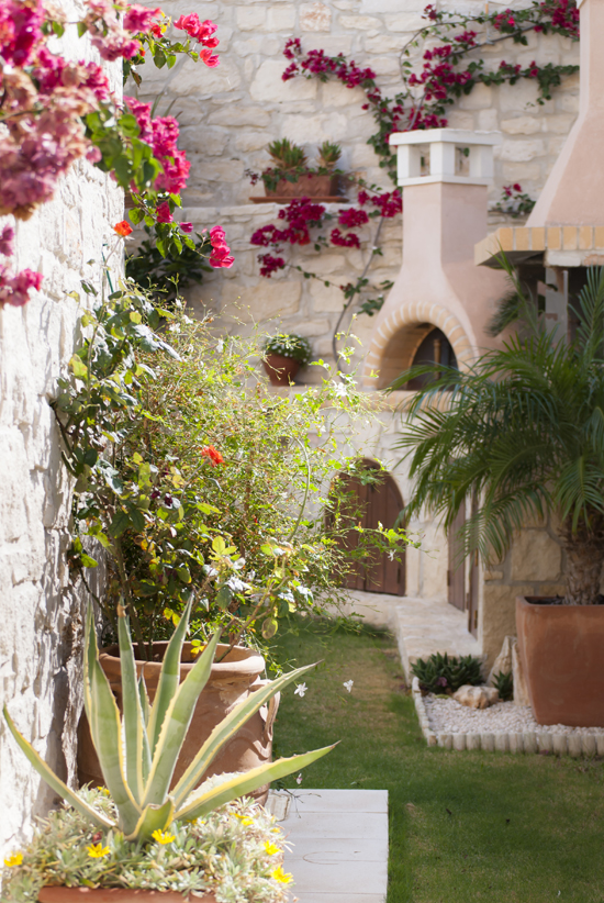 A mediterranean garden in a summer house in Heraklion, Crete ©Eleni Psyllaki