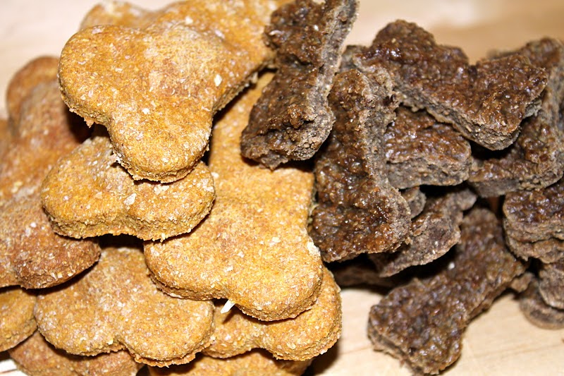 Nomsense Pumpkin Peanut Butter and Liver Dog Treats with a Dog