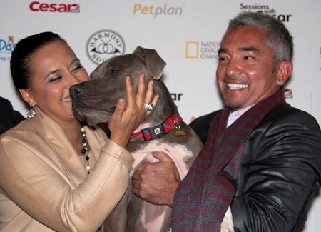 Cesar Millan S Dog Nation Imdb Cesar Millan S Dog Nation Imdb