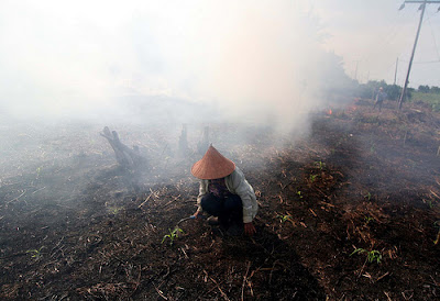 Gambar Pencemaran Udara
