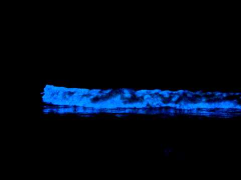 Jesse Bluma At Pointe Viven Electrifying Blue Waves