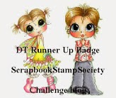 SCRAPBOOK STAMP SOCIETY