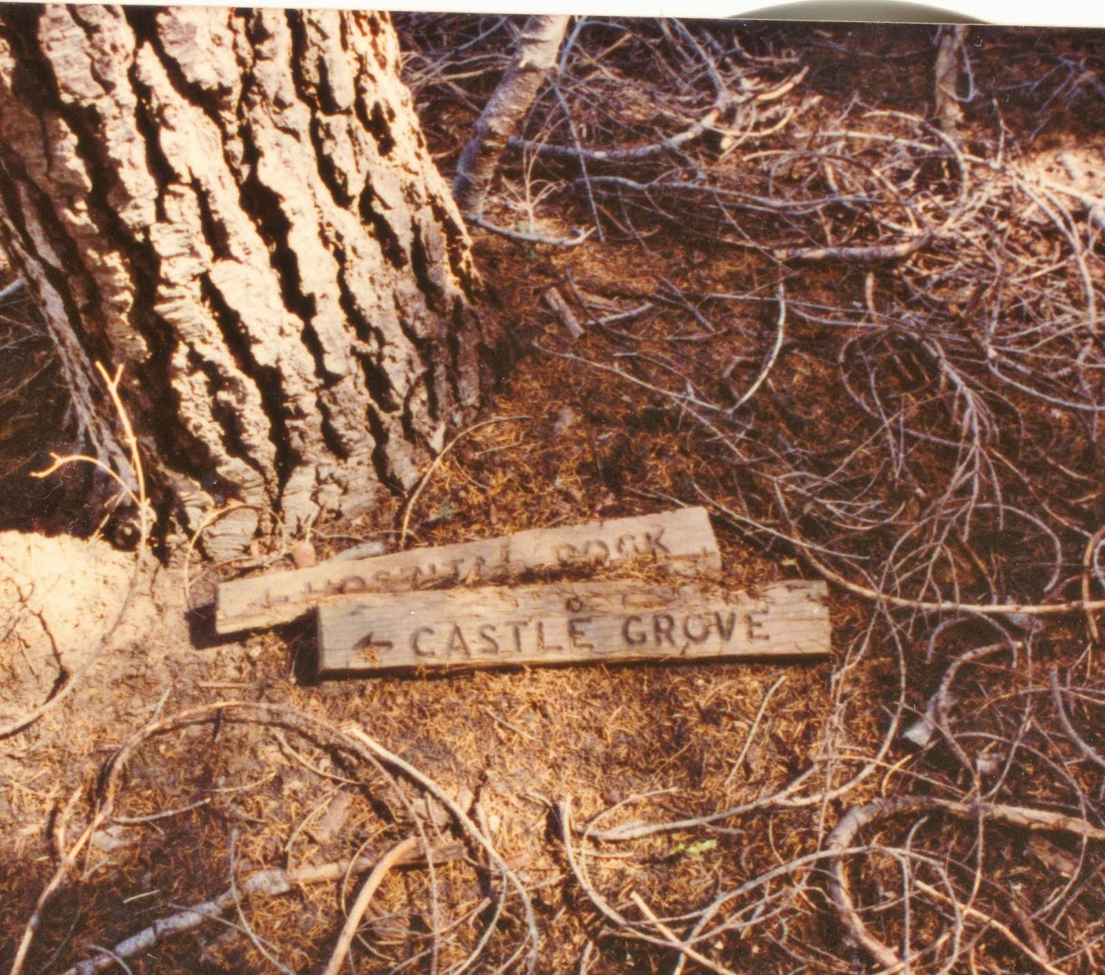 Old Castle Rocks Trail Sign