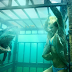 SHARK NIGHT SHARK NIGHT