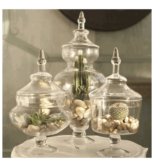 Style, Decor & More For The Love of Apothecary Jars!