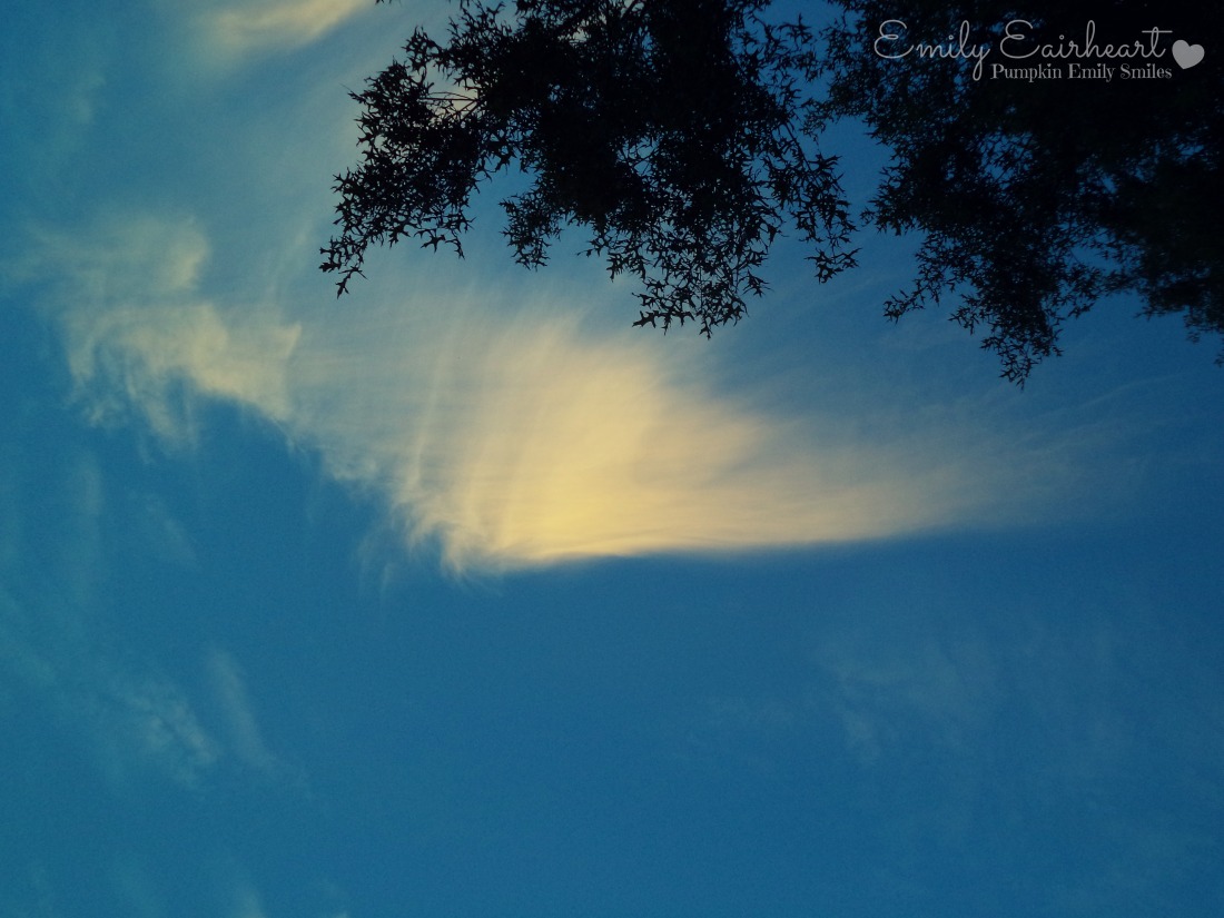 A cloud that looks like a wing.