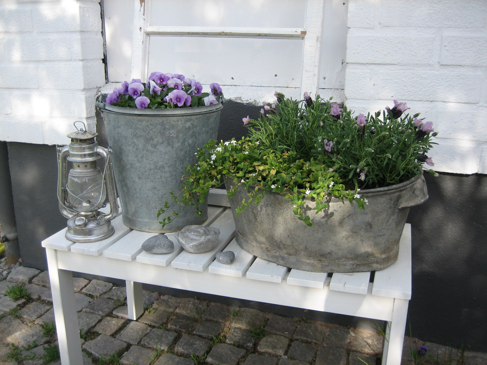 Vita huset 28: lavendel
