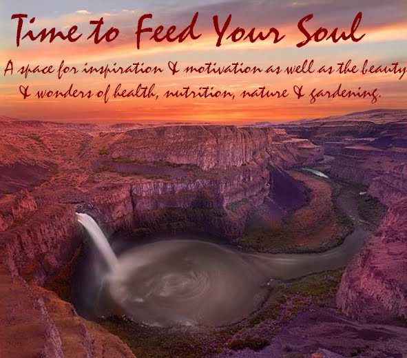 Time to Feed Your Soul