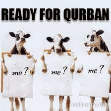 hikmah Qurban hikmah Qurban