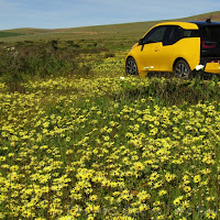 Current post at Elephant's Eye on False Bay (click image for link)