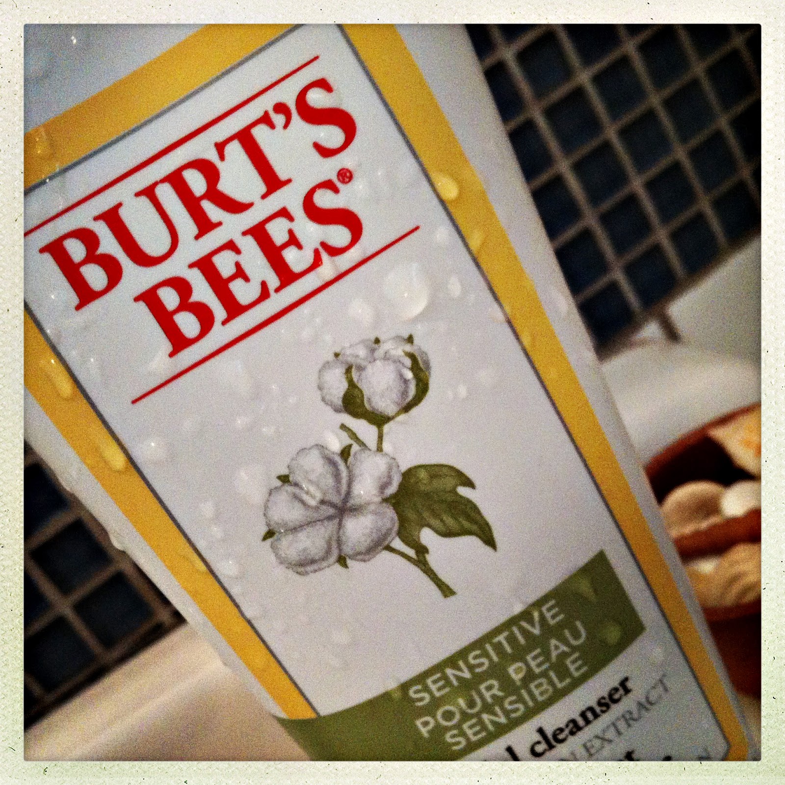 quelquechose January 2013